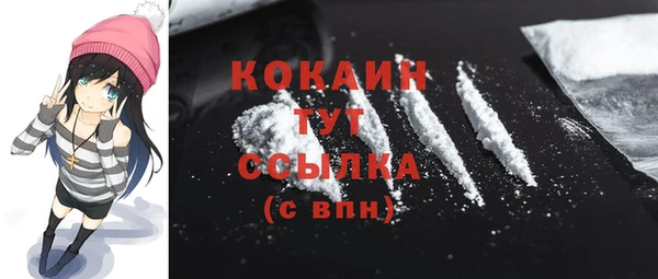 ГАЛЛЮЦИНОГЕННЫЕ ГРИБЫ Инсар
