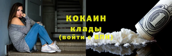 ГАЛЛЮЦИНОГЕННЫЕ ГРИБЫ Инсар