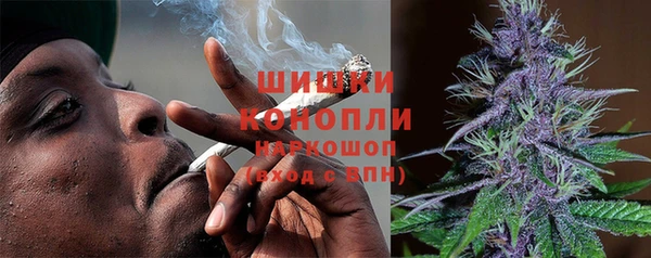 ГАЛЛЮЦИНОГЕННЫЕ ГРИБЫ Инсар