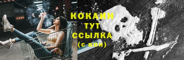 ГАЛЛЮЦИНОГЕННЫЕ ГРИБЫ Инсар