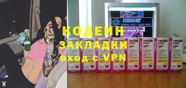 ГАЛЛЮЦИНОГЕННЫЕ ГРИБЫ Инсар