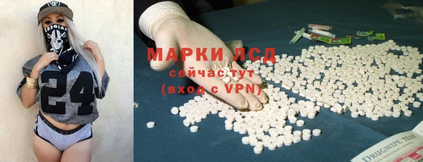 ГАЛЛЮЦИНОГЕННЫЕ ГРИБЫ Инсар