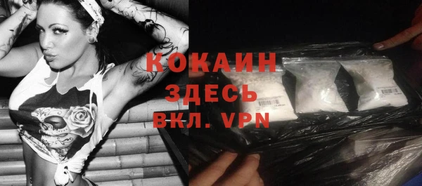 ГАЛЛЮЦИНОГЕННЫЕ ГРИБЫ Инсар